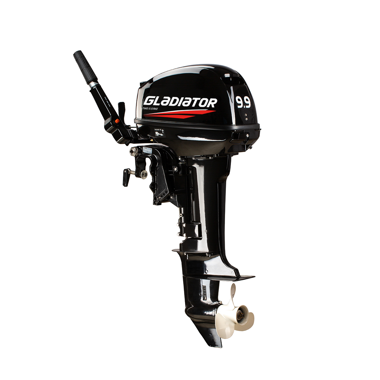 ЛОДОЧНЫЙ МОТОР GLADIATOR G9.9FHS в Тюмени