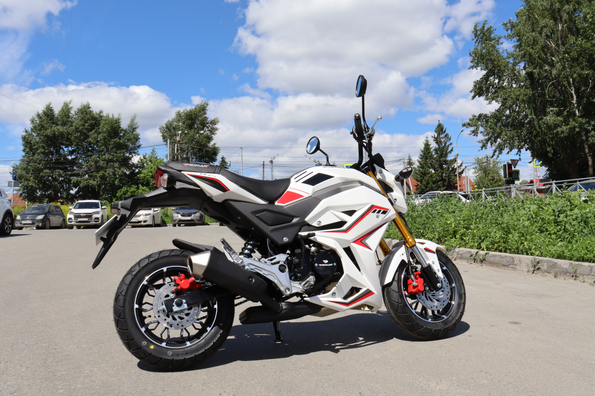 Мотоцикл PROMAX STRYKER 200(49) 2.0 в Тюмени