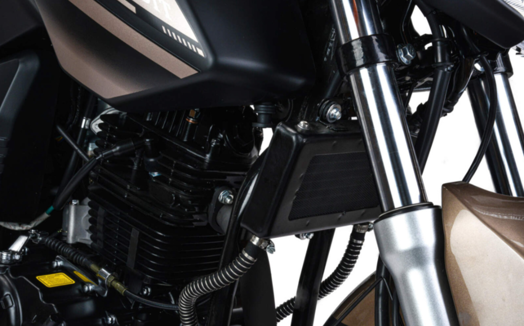 Мотоцикл MOTOLAND (МОТОЛЕНД) 300 BANDIT в Тюмени