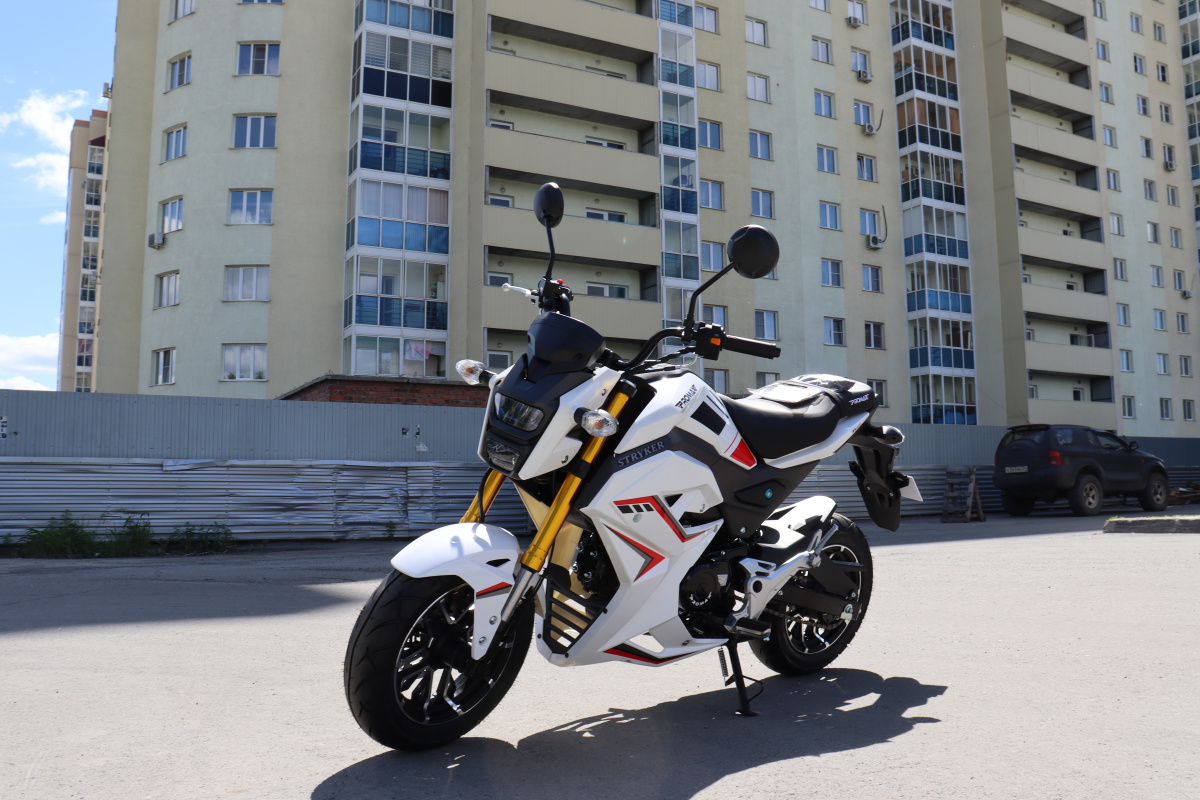 Мотоцикл PROMAX STRYKER 200(49) 2.0 в Тюмени