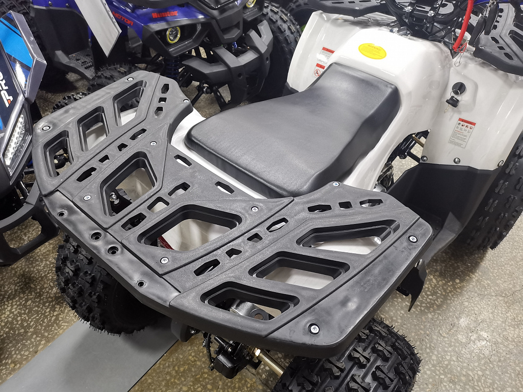 Квадроцикл PROMAX WILD 175 LUX в Тюмени Квадроцикл PROMAX WILD 175 LUX в Тюмени