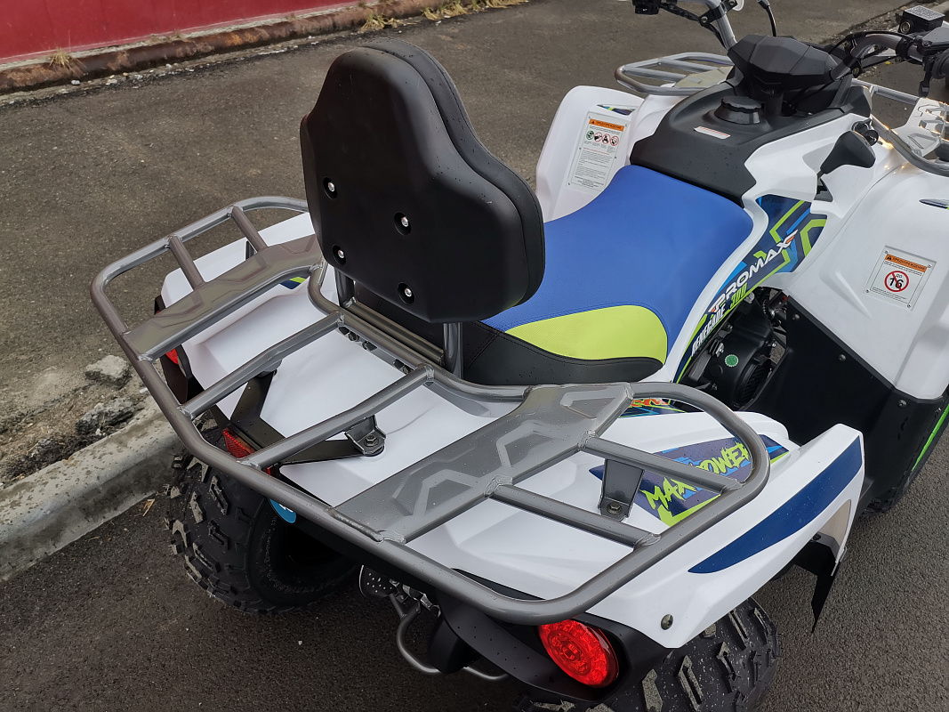 Квадроцикл PROMAX RENEGADE 280 LUX (2025) в Тюмени Квадроцикл PROMAX RENEGADE 280 LUX (2025) в Тюмени