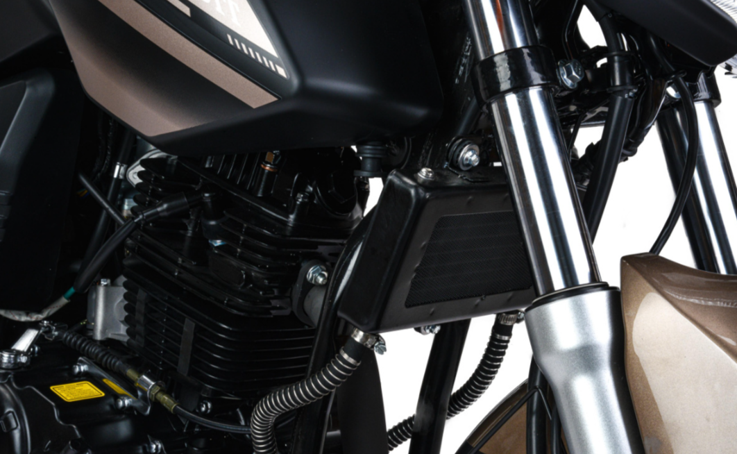 Мотоцикл MOTOLAND (МОТОЛЕНД) 300 BANDIT в Тюмени