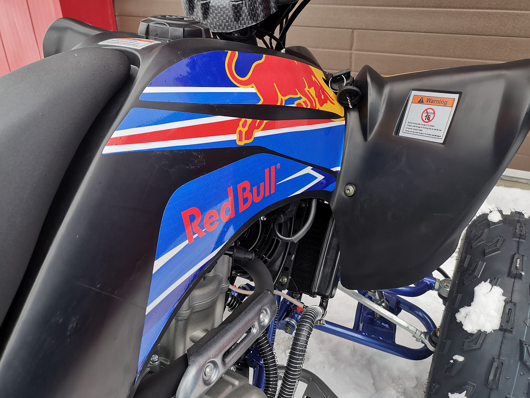 Квадроцикл PROMAX RAPTOR 300 NEW RedBull в Тюмени Квадроцикл PROMAX RAPTOR 300 NEW RedBull в Тюмени