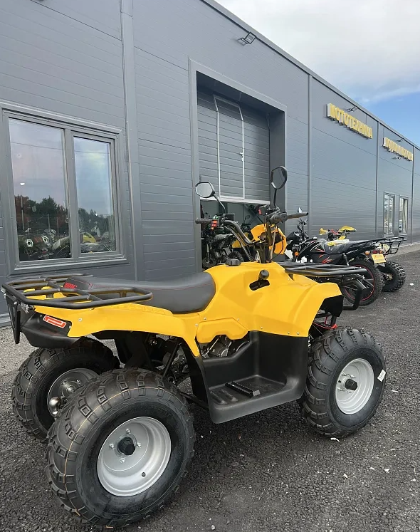 КВАДРОЦИКЛ IRBIS ATV 250  в Тюмени КВАДРОЦИКЛ IRBIS ATV 250  в Тюмени