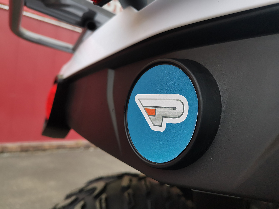Квадроцикл PROMAX RENEGADE 280 LUX (2025) в Тюмени Квадроцикл PROMAX RENEGADE 280 LUX (2025) в Тюмени