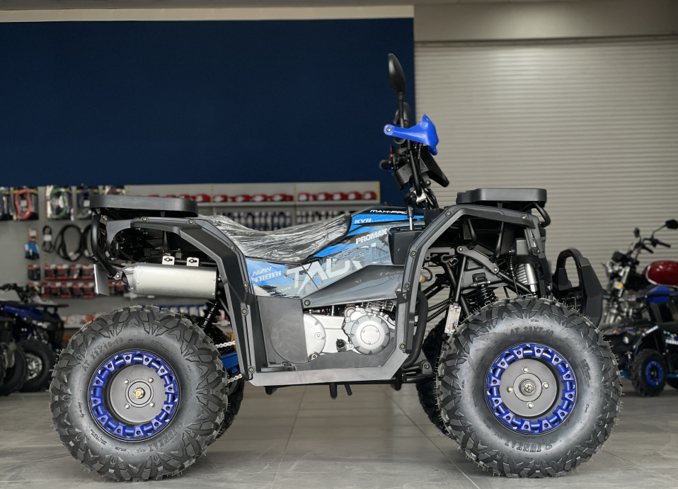 Квадроцикл PROMAX TAURUS 300 в Тюмени Квадроцикл PROMAX TAURUS 300 в Тюмени