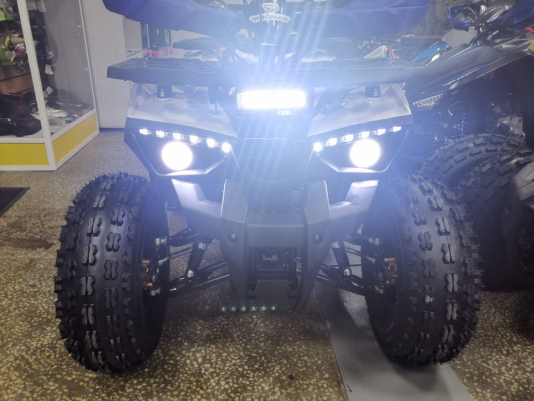 Квадроцикл PROMAX WILD 175 LUX в Тюмени Квадроцикл PROMAX WILD 175 LUX в Тюмени