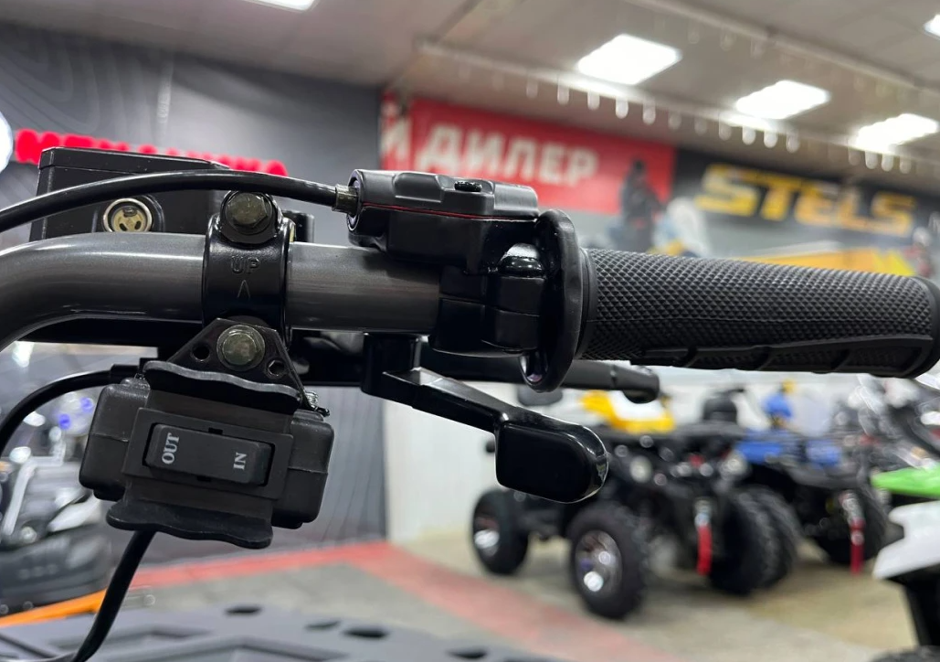 Квадроцикл PROMAX RENEGADE 300 LONG WINCH PRO (2025) в Тюмени Квадроцикл PROMAX RENEGADE 300 LONG WINCH PRO (2025) в Тюмени