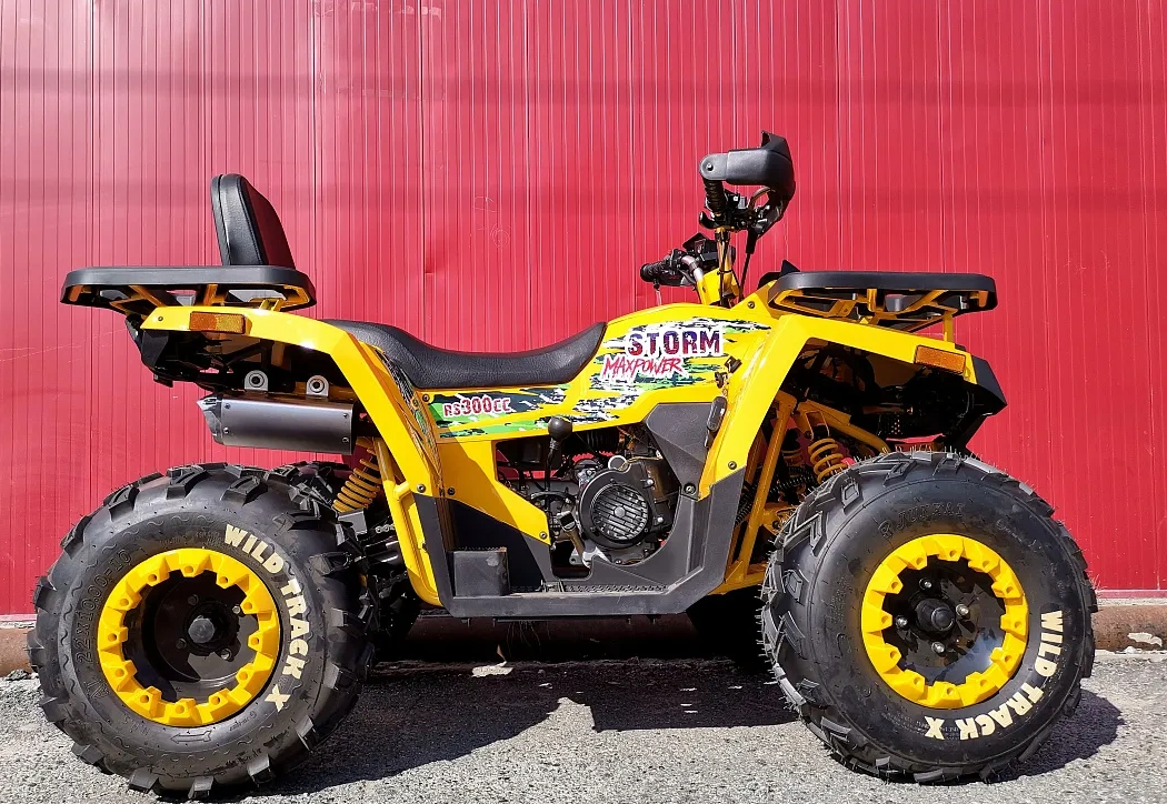 Квадроцикл PROMAX STORM 280 LUX в Тюмени Квадроцикл PROMAX STORM 280 LUX в Тюмени