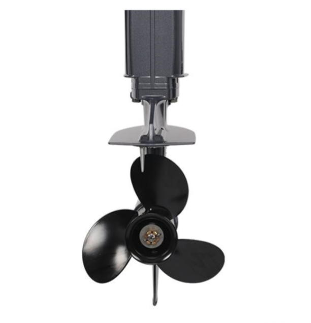 Лодочный мотор ALLFA CG Т40FW S в Тюмени