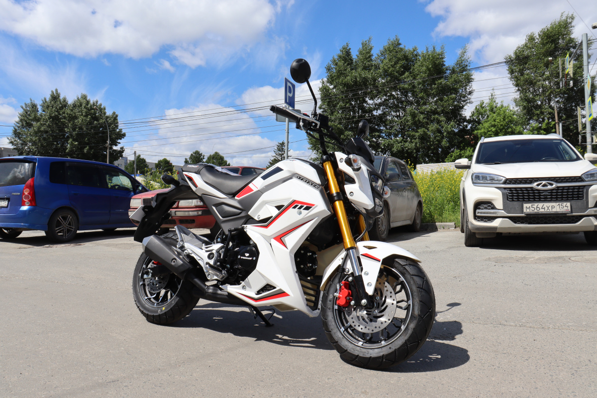 Мотоцикл PROMAX STRYKER 200(49) 2.0 в Тюмени