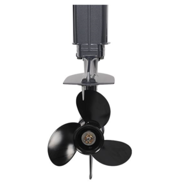 Лодочный мотор ALLFA CG Т40FWT S в Тюмени