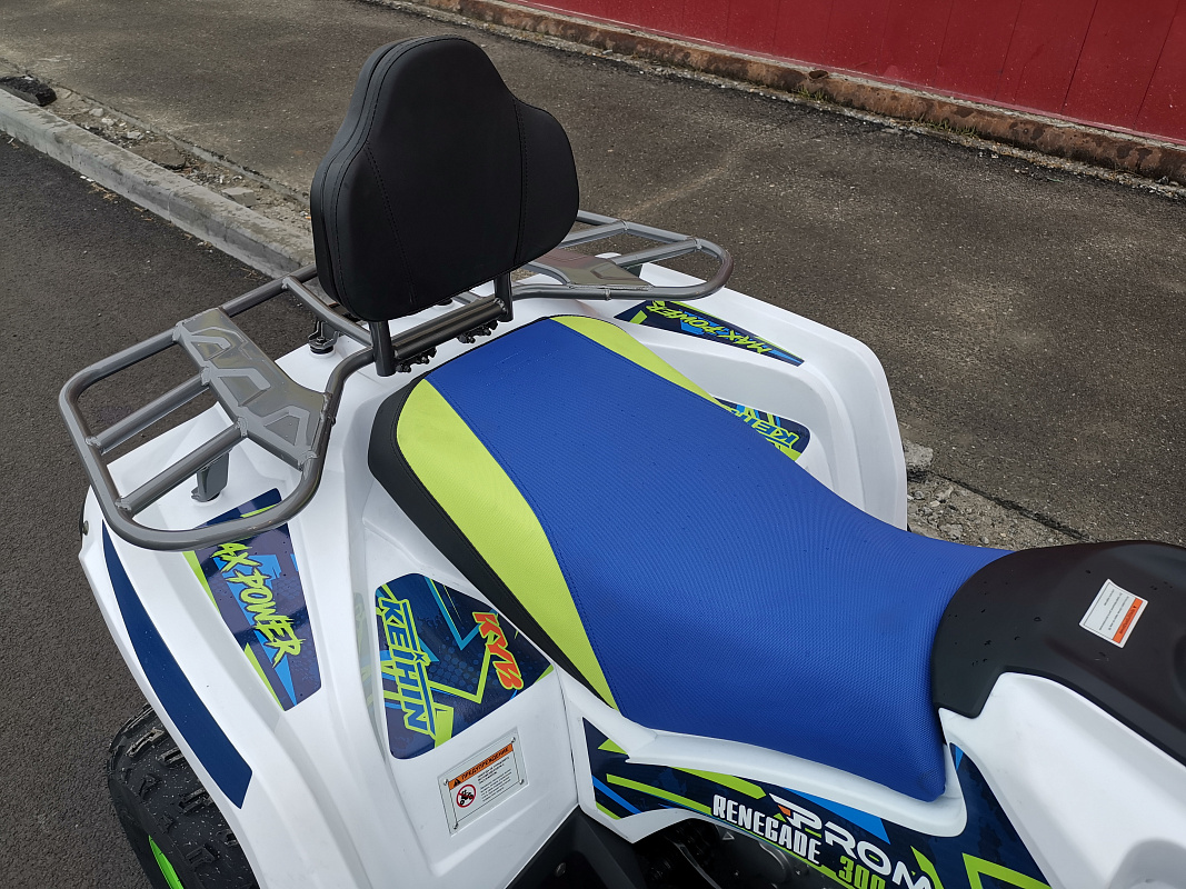 Квадроцикл PROMAX RENEGADE 280 LUX (2025) в Тюмени Квадроцикл PROMAX RENEGADE 280 LUX (2025) в Тюмени
