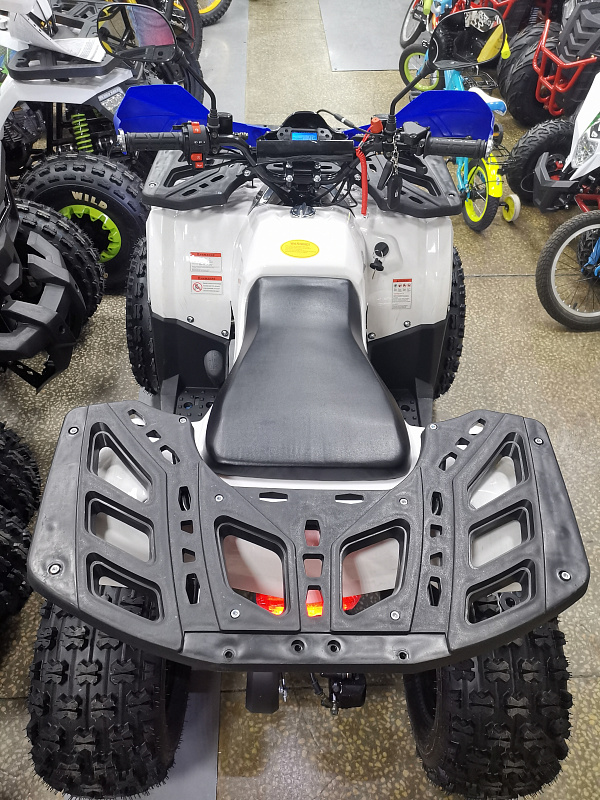 Квадроцикл PROMAX WILD 175 LUX в Тюмени Квадроцикл PROMAX WILD 175 LUX в Тюмени