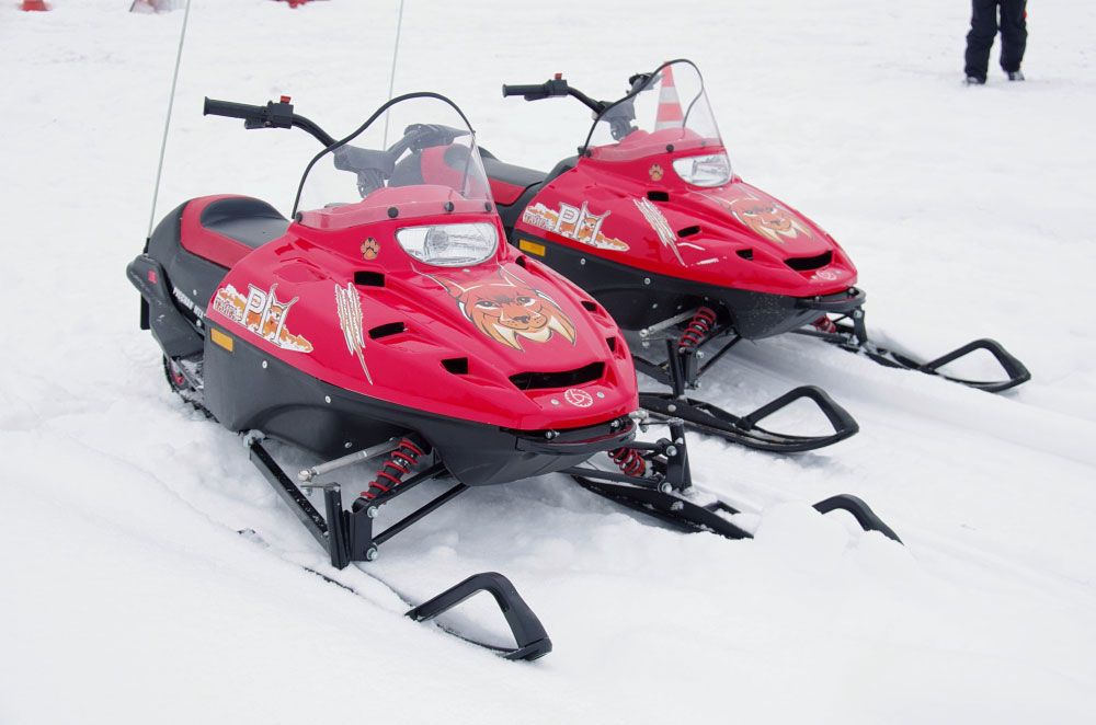 Снегоход РМ ТАЙГА РЫСЬ в Тюмени