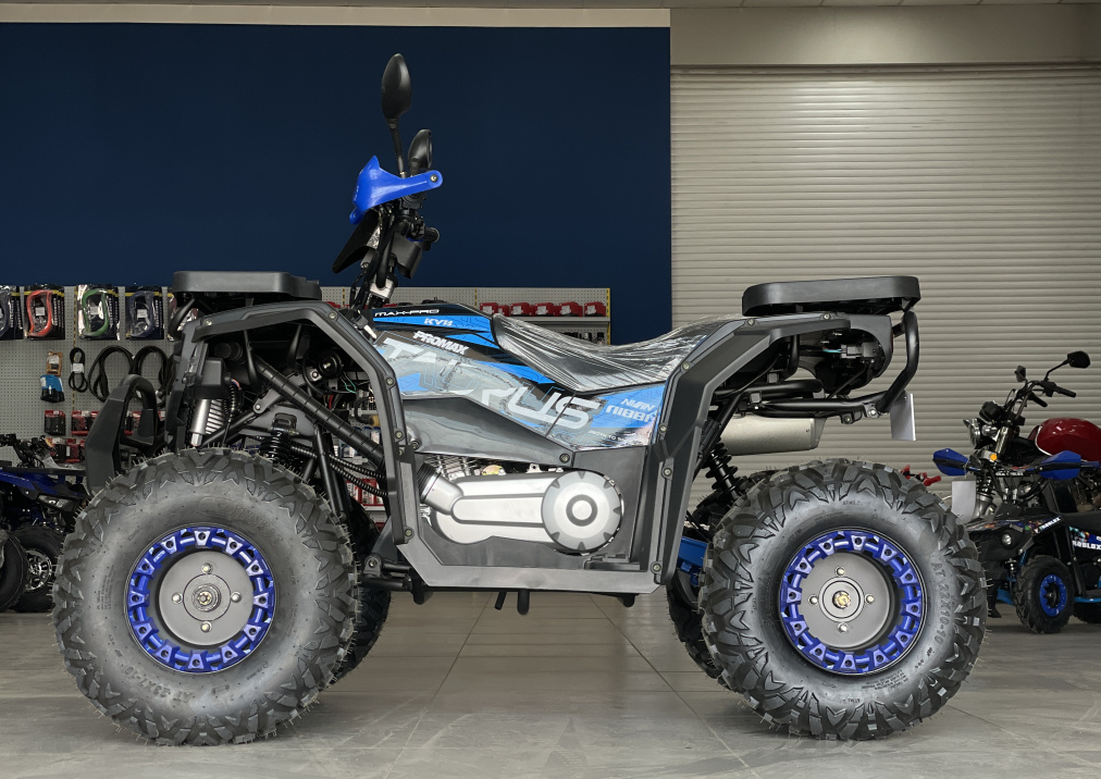 Квадроцикл PROMAX TAURUS 300 в Тюмени Квадроцикл PROMAX TAURUS 300 в Тюмени