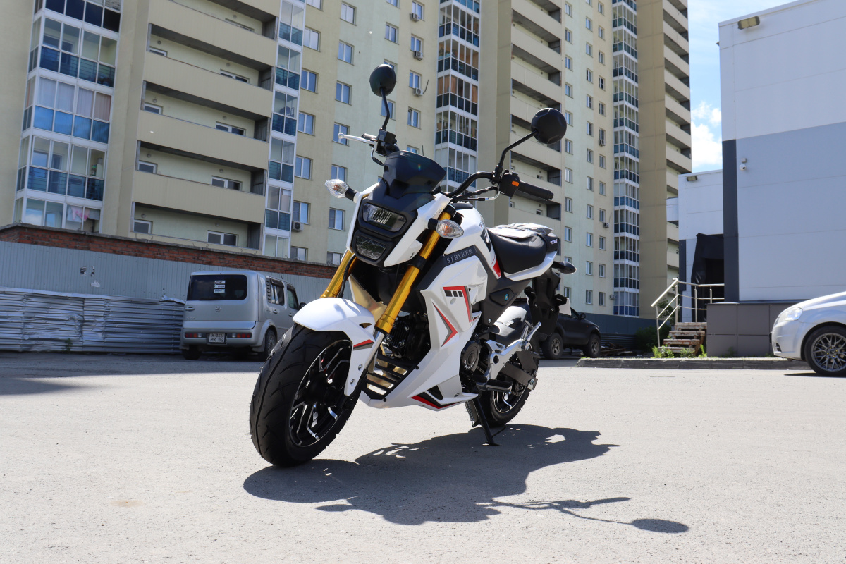 Мотоцикл PROMAX STRYKER 200(49) 2.0 в Тюмени