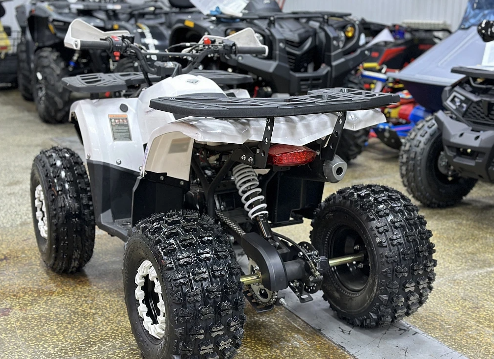 Квадроцикл PROMAX WILD 2.0 190 в Тюмени Квадроцикл PROMAX WILD 2.0 190 в Тюмени