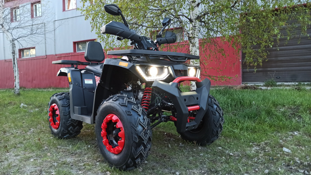 Квадроцикл PROMAX WILD 300 LUX (2024) в Тюмени Квадроцикл PROMAX WILD 300 LUX (2024) в Тюмени