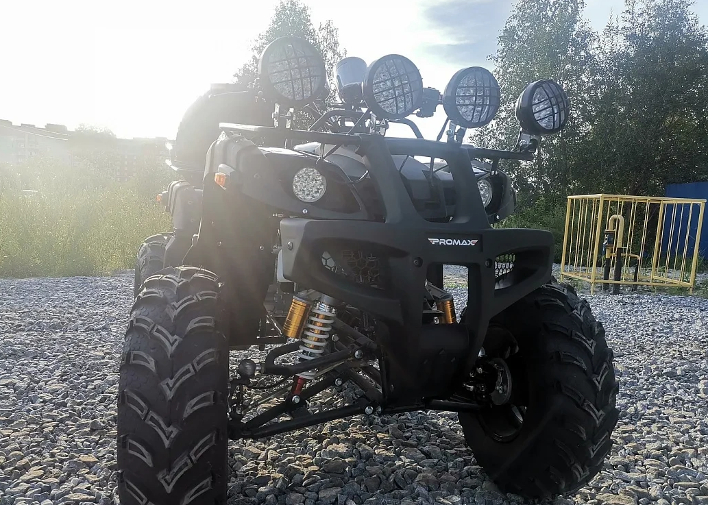 Квадроцикл PROMAX LEO 300 Max (кардан) в Тюмени Квадроцикл PROMAX LEO 300 Max (кардан) в Тюмени