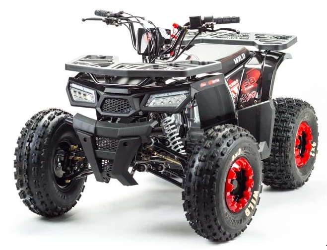 Квадроцикл PROMAX WILD 175 в Тюмени Квадроцикл PROMAX WILD 175 в Тюмени