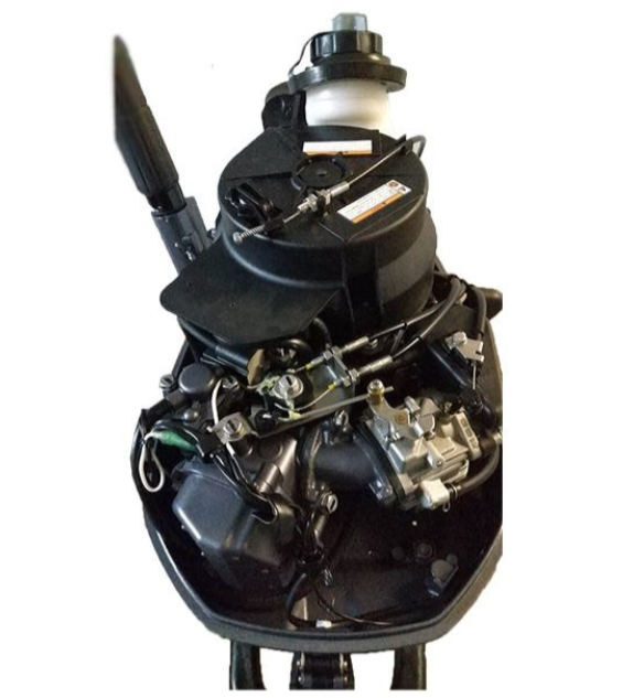 Лодочный мотор ALLFA CG F6 в Тюмени