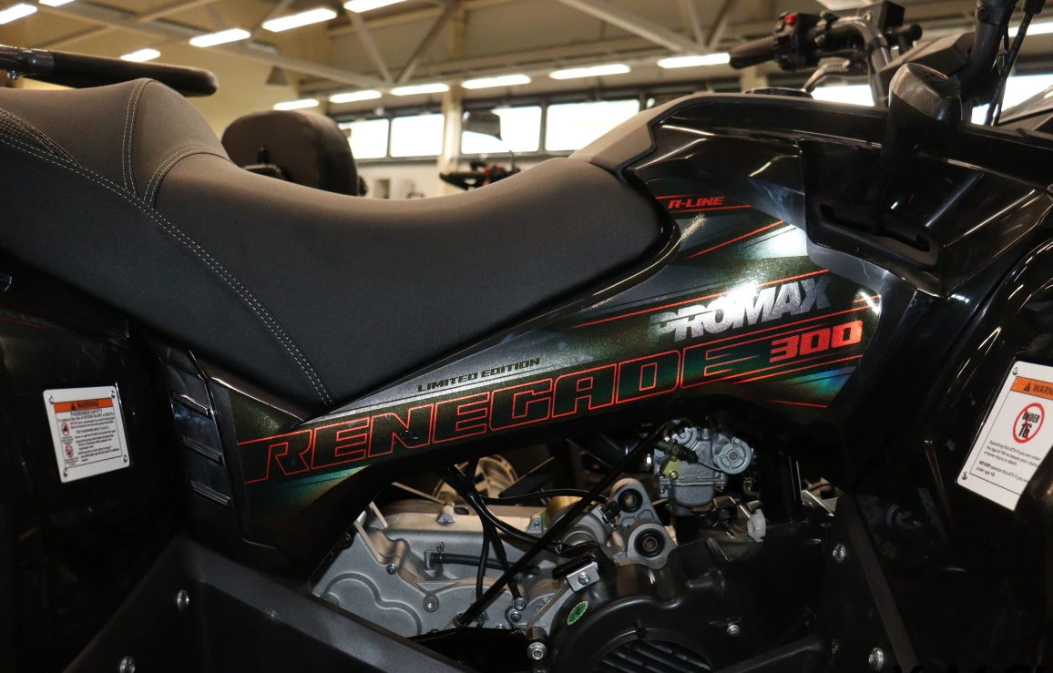 Квадроцикл PROMAX RENEGADE 300 LONG WINCH PRO (2025) в Тюмени Квадроцикл PROMAX RENEGADE 300 LONG WINCH PRO (2025) в Тюмени