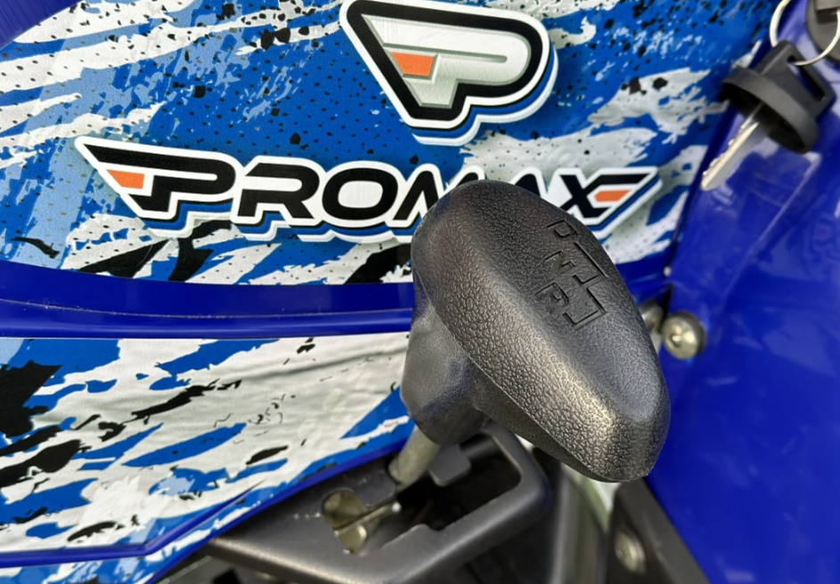 Квадроцикл PROMAX ATV 250 MAX (2025) в Тюмени  Квадроцикл PROMAX ATV 250 MAX (2025) в Тюмени