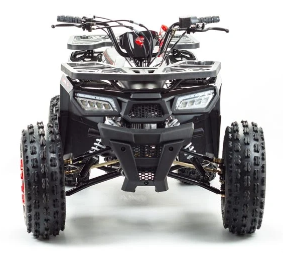 Квадроцикл PROMAX WILD 175 в Тюмени Квадроцикл PROMAX WILD 175 в Тюмени