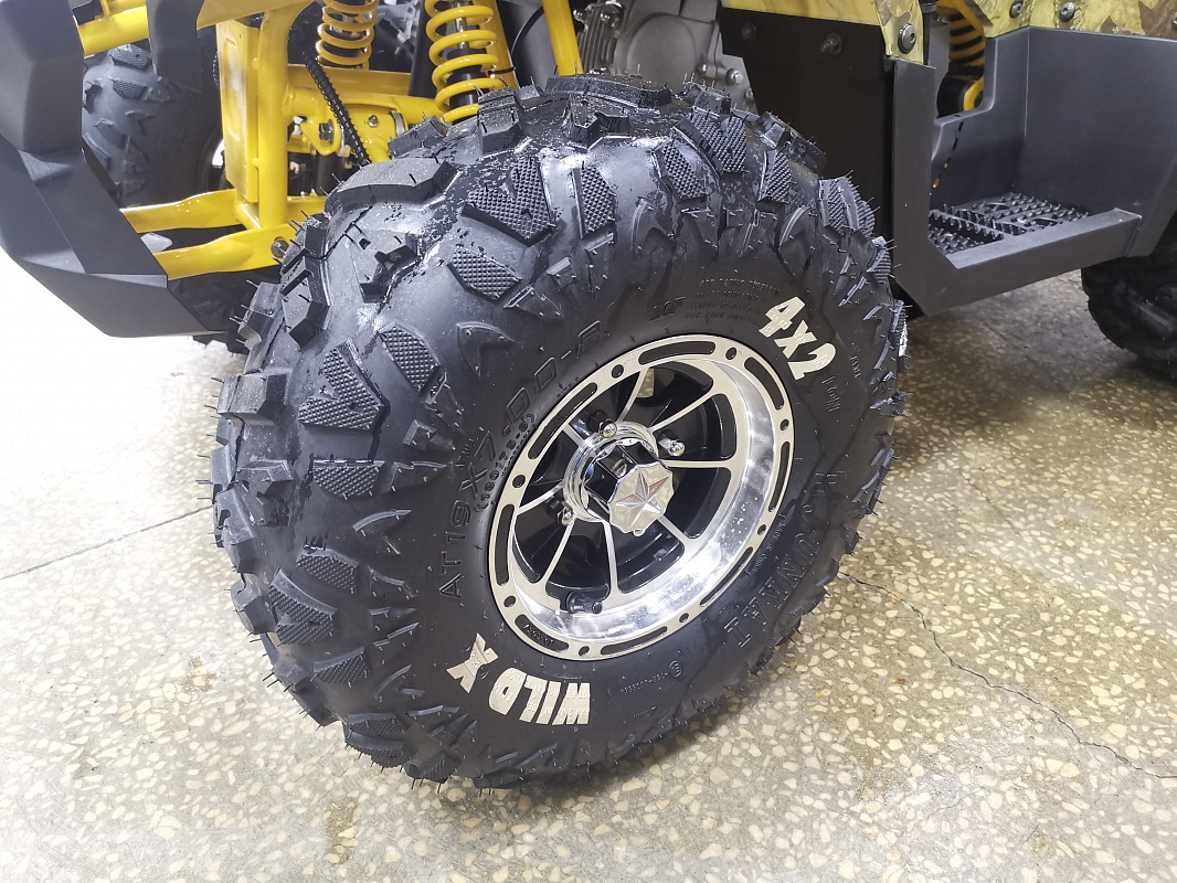 Квадроцикл PROMAX STORM 190 PRO в Тюмени Квадроцикл PROMAX STORM 190 PRO в Тюмени
