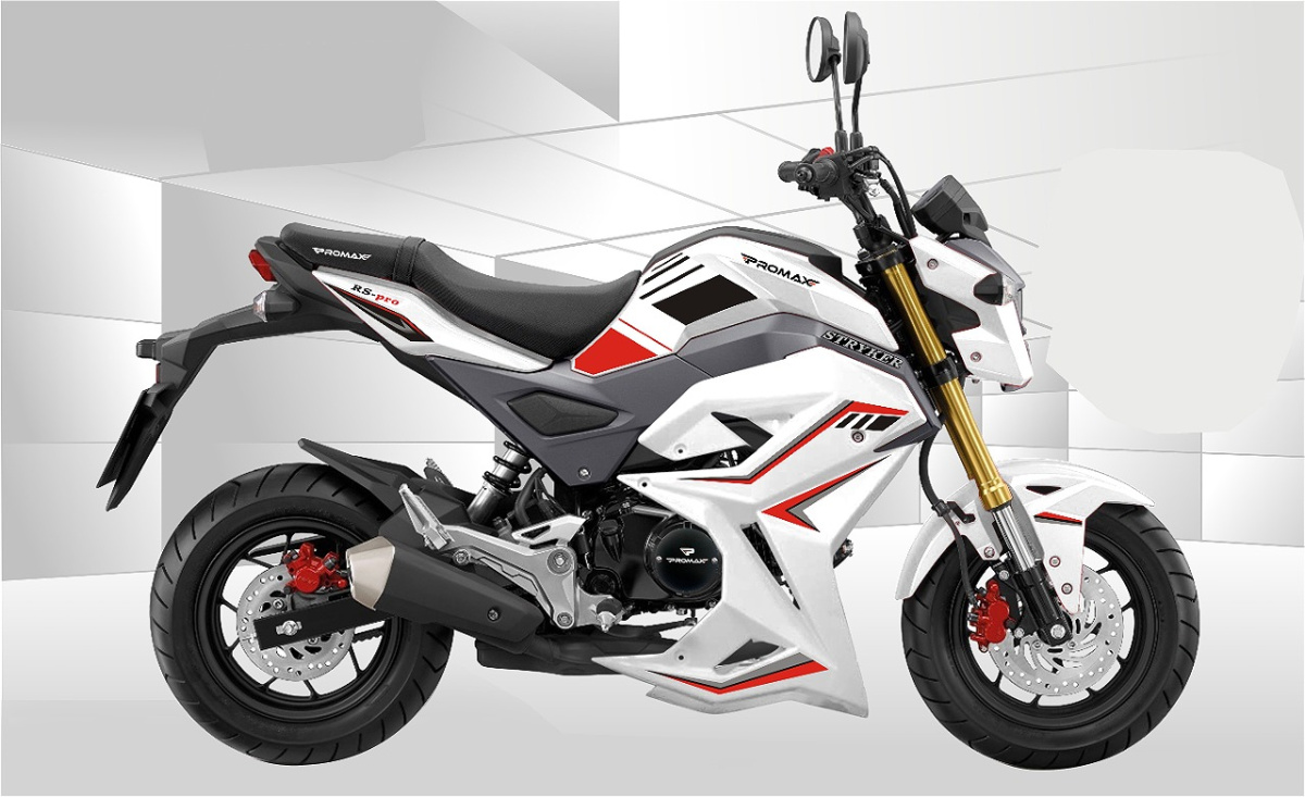 Мотоцикл PROMAX STRYKER 200(49) 2.0 в Тюмени