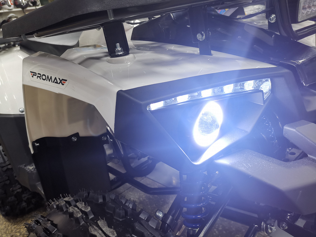 Квадроцикл PROMAX WILD 175 LUX в Тюмени Квадроцикл PROMAX WILD 175 LUX в Тюмени