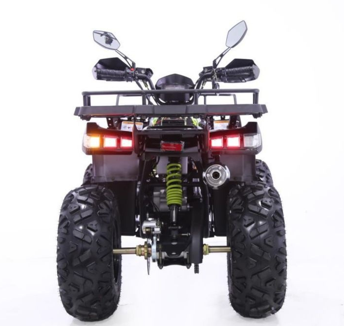 Квадроцикл YACOTA WARRIOR 200 PRO в Тюмени Квадроцикл YACOTA WARRIOR 200 PRO в Тюмени