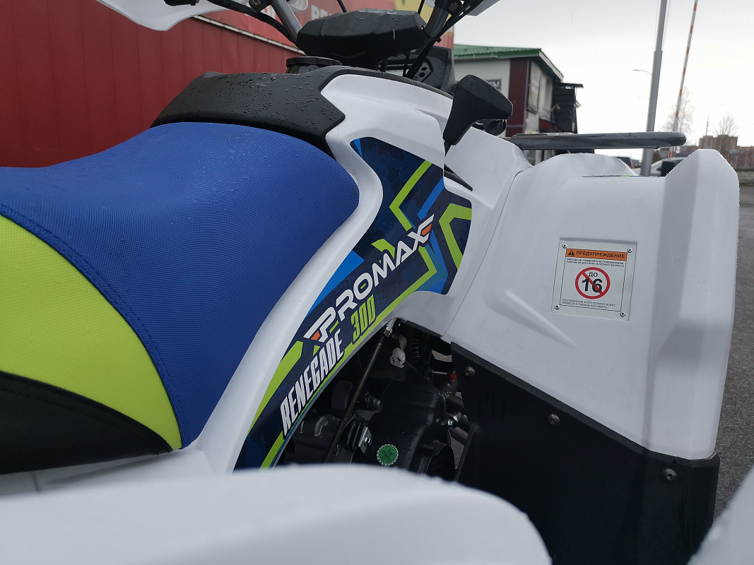 Квадроцикл PROMAX RENEGADE 280 LUX (2025) в Тюмени Квадроцикл PROMAX RENEGADE 280 LUX (2025) в Тюмени