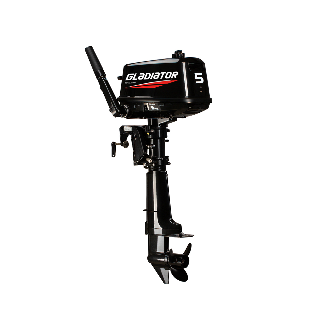 ЛОДОЧНЫЙ МОТОР GLADIATOR G5FHS в Тюмени