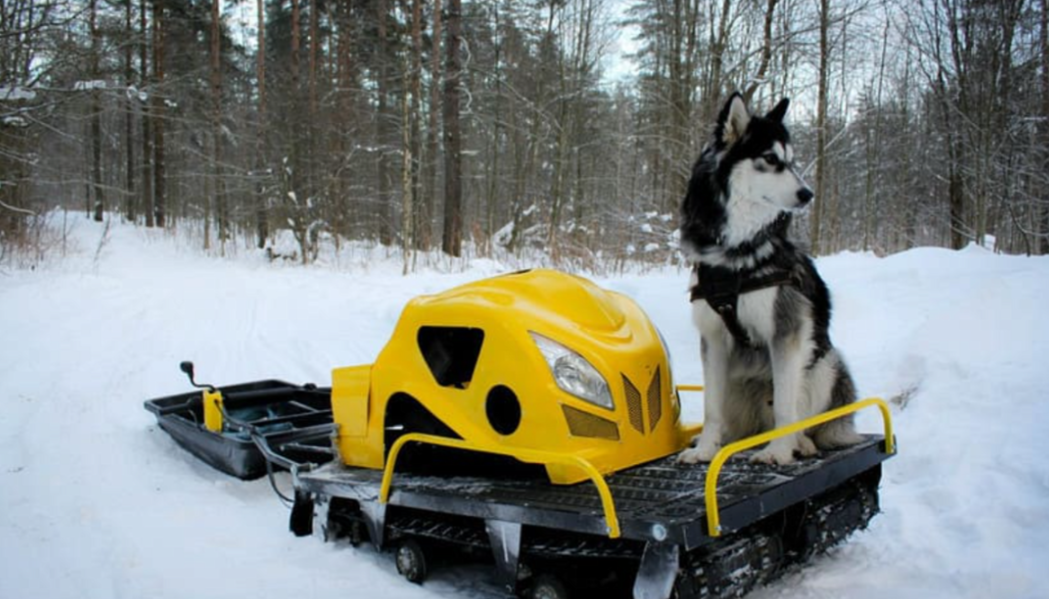 Мотобуксировщик LEBEDEV MOTORS ВОЛКОДАВ POWER V13 в Тюмени