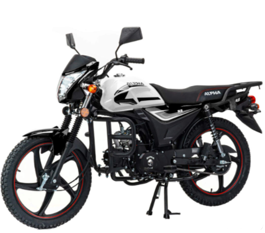 Мопед MOTOLAND (МОТОЛЕНД) Альфа RS 11 (LM48-B) в Тюмени