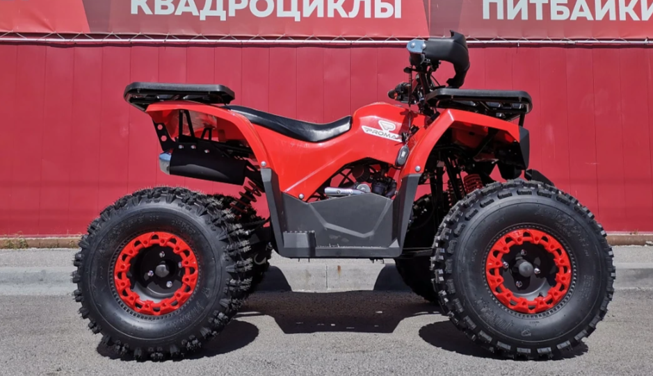 Квадроцикл PROMAX WILD 175 BASIC в Тюмени Квадроцикл PROMAX WILD 175 BASIC в Тюмени