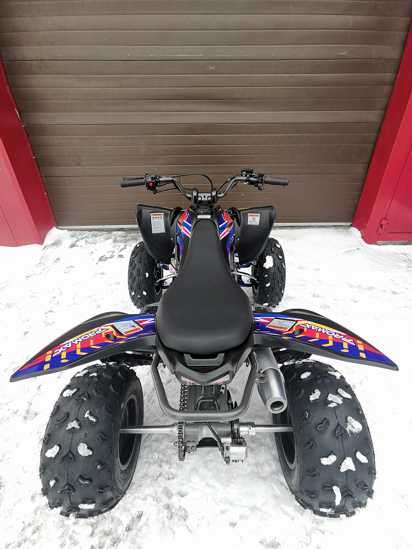 Квадроцикл PROMAX RAPTOR 300 NEW RedBull в Тюмени Квадроцикл PROMAX RAPTOR 300 NEW RedBull в Тюмени