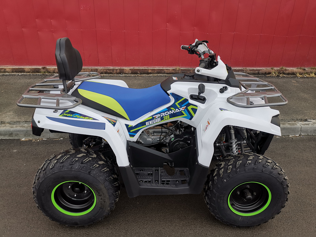 Квадроцикл PROMAX RENEGADE 280 LUX (2025) в Тюмени Квадроцикл PROMAX RENEGADE 280 LUX (2025) в Тюмени