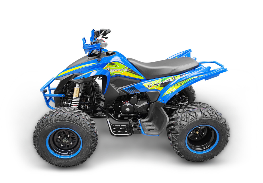 Квадроцикл YACOTA TYPHOON 250 в Тюмени Квадроцикл YACOTA TYPHOON 250 в Тюмени