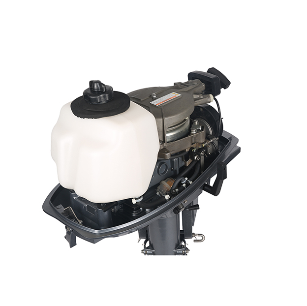 ЛОДОЧНЫЙ МОТОР ALLFA CG T5 в Тюмени