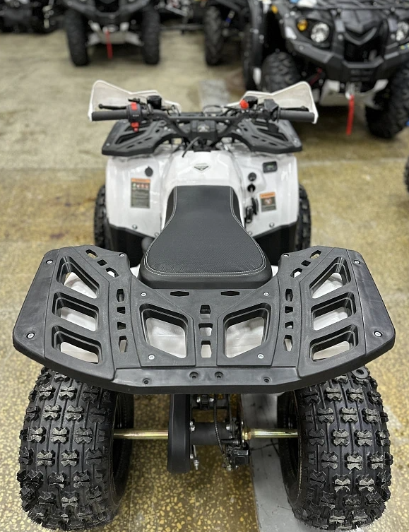 Квадроцикл PROMAX WILD 2.0 190 в Тюмени Квадроцикл PROMAX WILD 2.0 190 в Тюмени