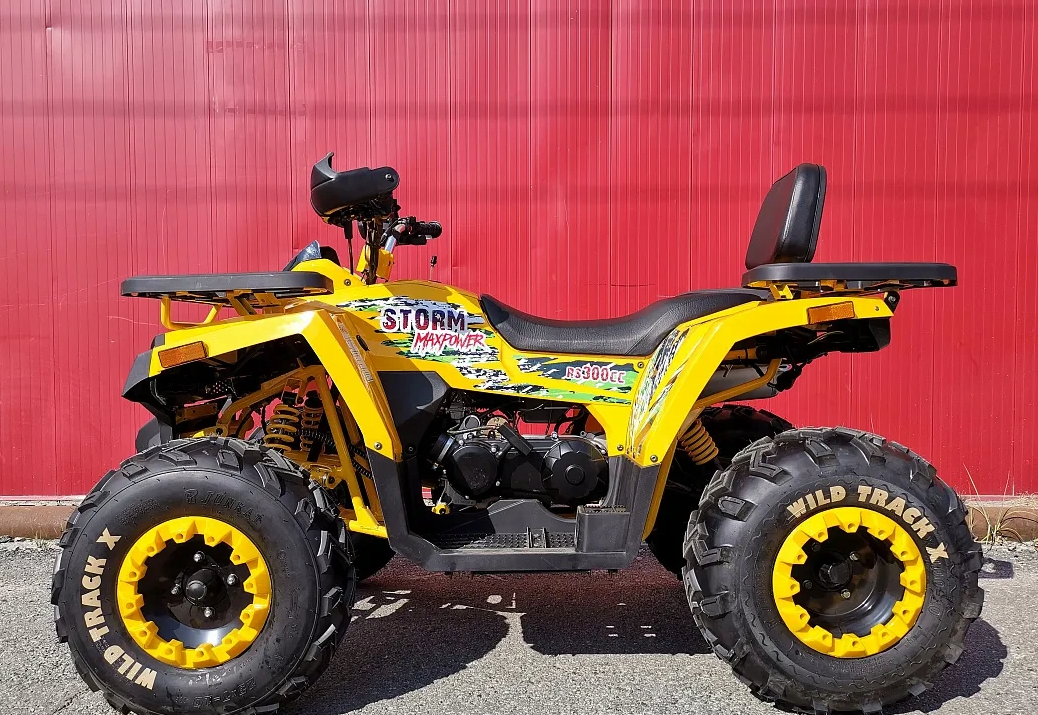 Квадроцикл PROMAX STORM 280 LUX в Тюмени Квадроцикл PROMAX STORM 280 LUX в Тюмени