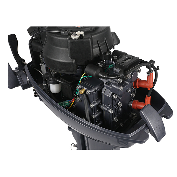 ЛОДОЧНЫЙ МОТОР ALLFA CG Т9,9 в Тюмени