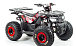 Квадроцикл PROMAX WILD 175 в Тюмени Квадроцикл PROMAX WILD 175 в Тюмени
