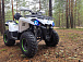 Квадроцикл PROMAX RENEGADE 280 (2025) в Тюмени Квадроцикл PROMAX RENEGADE 280 (2025) в Тюмени