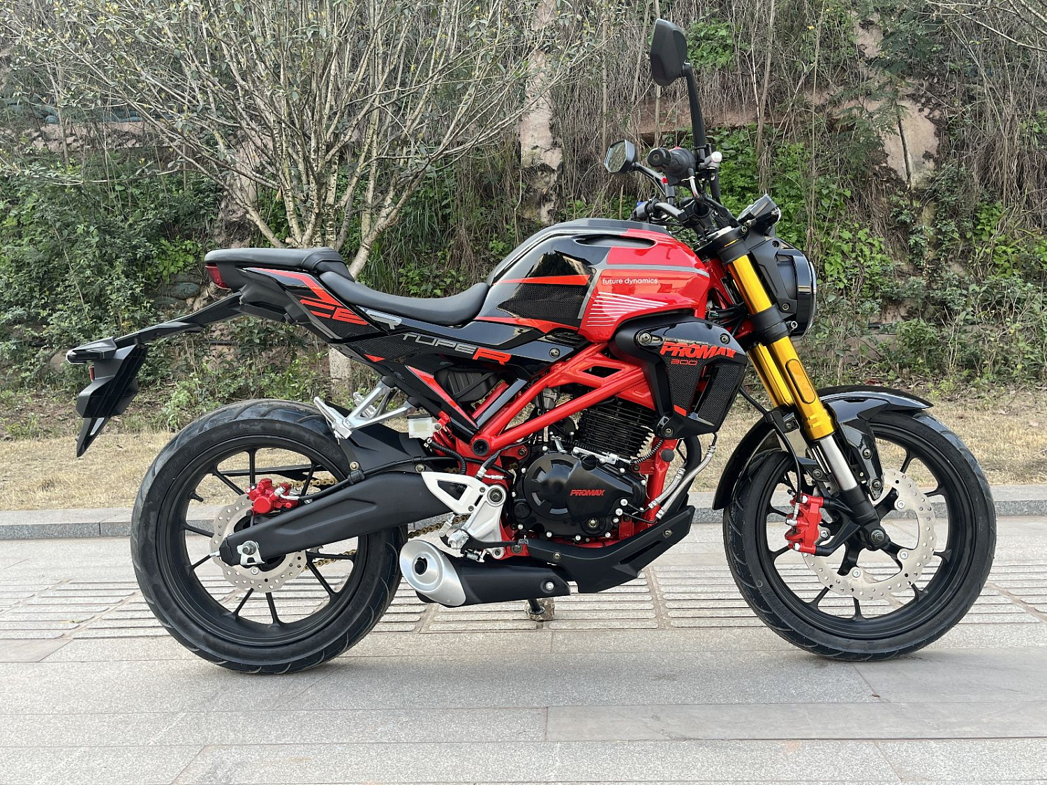 Мотоцикл PROMAX CB300RL (4V, 6G) в Тюмени