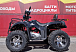 Квадроцикл PROMAX TRX300 CVT в Тюмени Квадроцикл PROMAX TRX300 CVT в Тюмени
